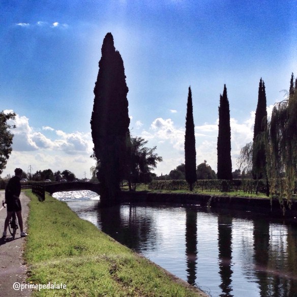 on the cycling path "la Gavardina" - the mistery trees