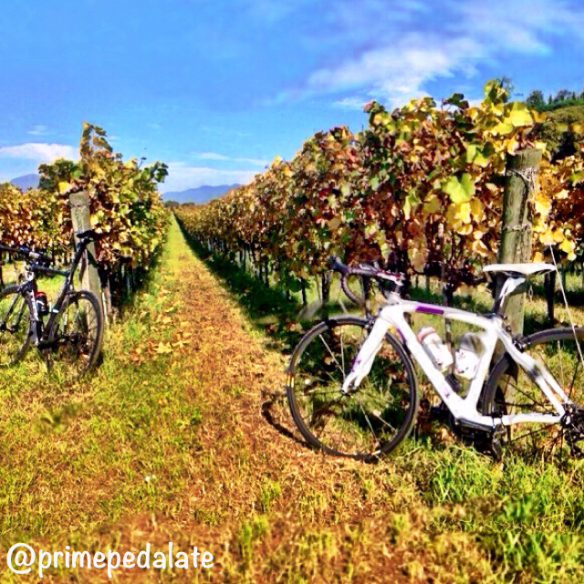 My beautiful Pinarello Dogma 2 My beautiful Pinarello Dogma 2