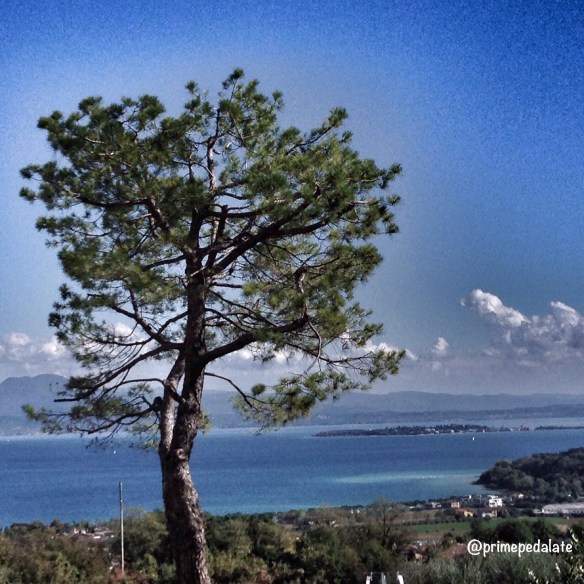 view from padenghe over the Lake of Garda